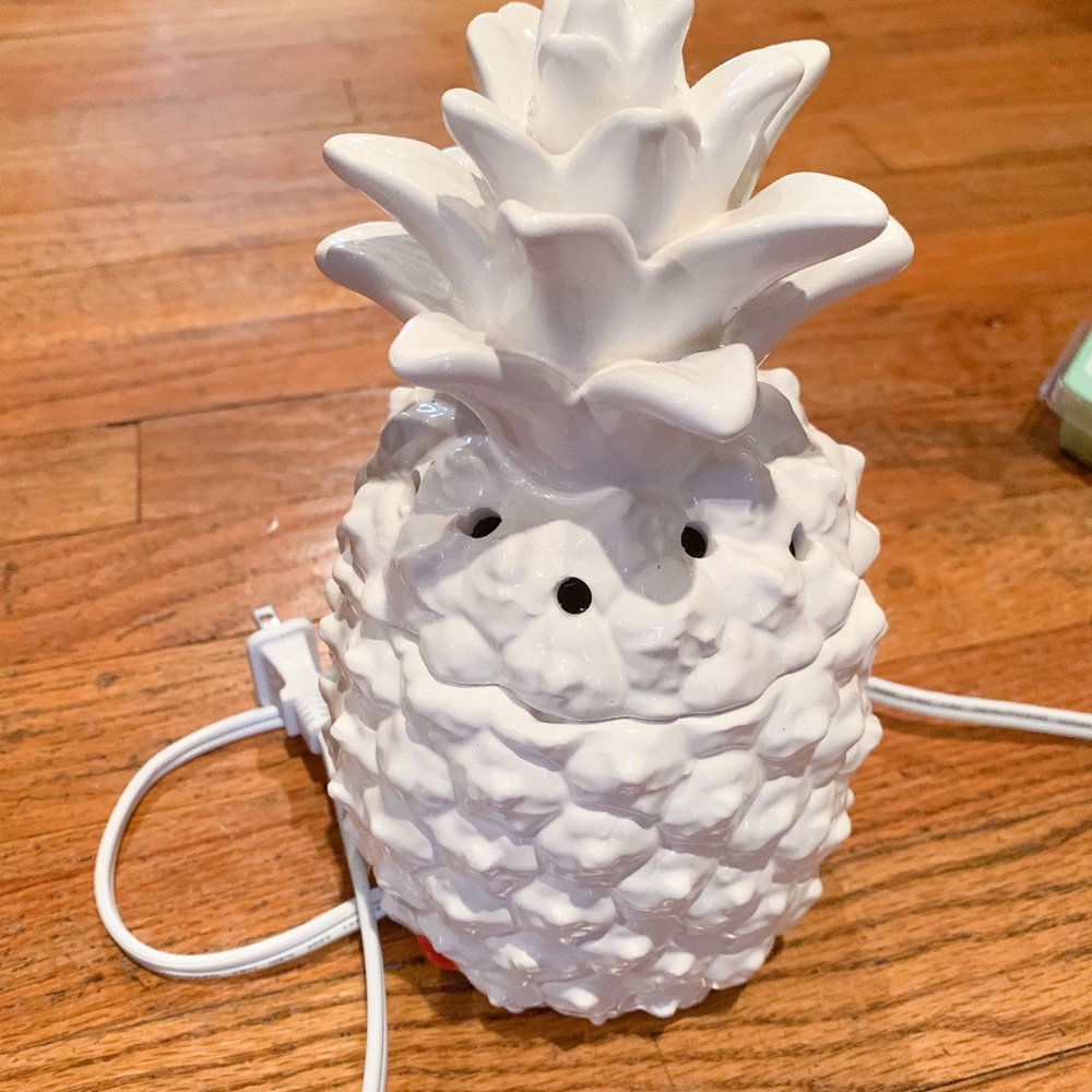 Southern Hospitality pineapple Warmer
